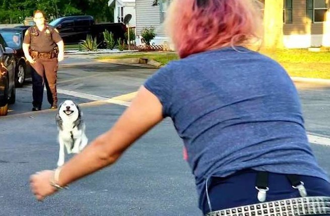 Mulher reencontra seu cachorro após dois anos desaparecido