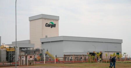 Com mais de 130 oportunidades, Cargill abre vagas em diversos estados brasileiros para vários níveis de qualificação