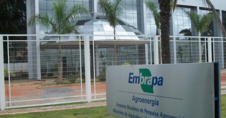 Transforme sua carreira no Agronegócio com esses Cursos Gratuitos oferecidos pela Embrapa com certificado incluso