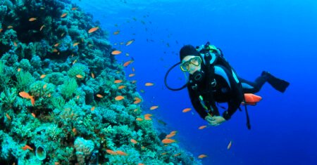 Especialização gratuita e a distância da USP em Oceanografia e Afins